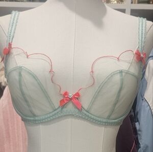 Agent Provocateur Lace Bra in Light Green and Pink